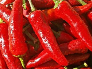 Chili worst +/-10 stuks (0,5 kg)